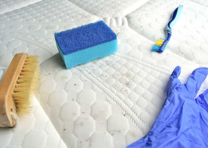 mold removal san antonio