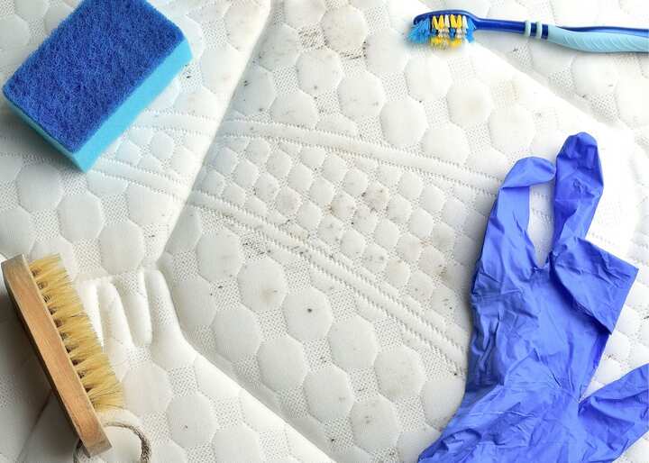 mold remover