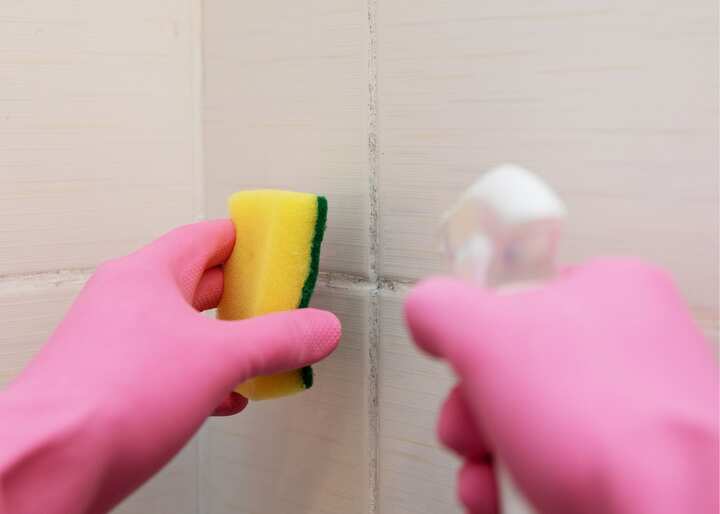 mold & mildew remover