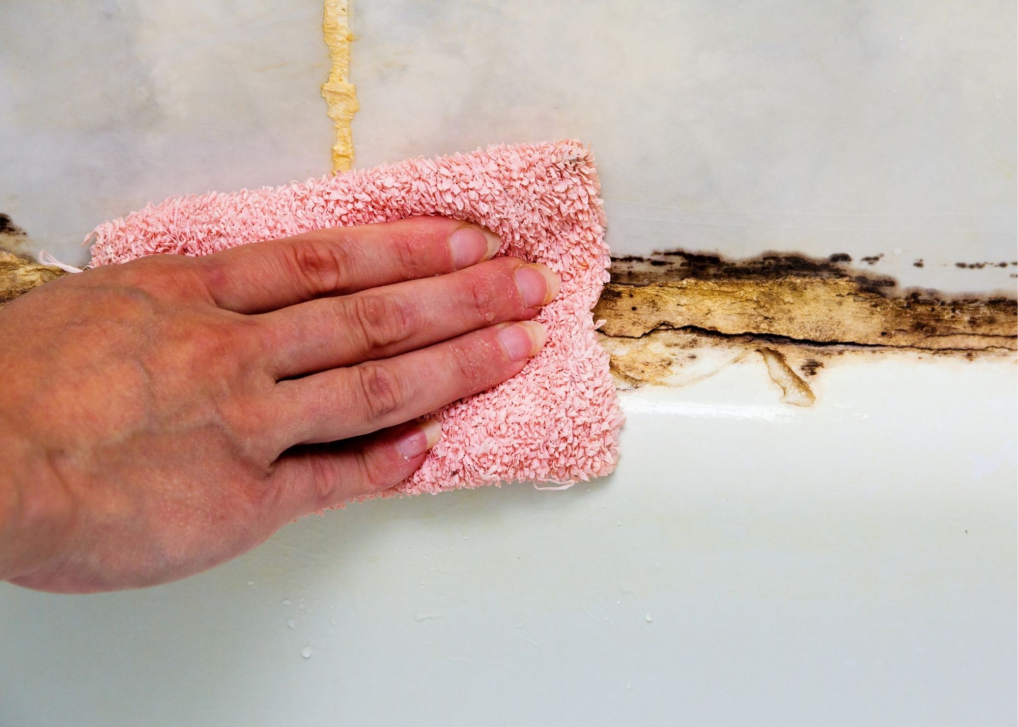 mold remover